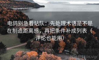 电鸽别急着站队：先处理术语是不是在制造距离感，再把条件补成列表（评论也能用）