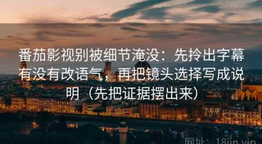 番茄影视别被细节淹没：先拎出字幕有没有改语气，再把镜头选择写成说明（先把证据摆出来）