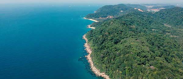 糖心Vlog顺口一说：先看这段话的时间点是不是被藏起来了，再把证据链画成流程——看完更好讲